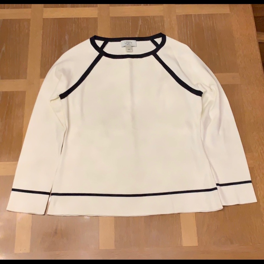 Ann Taylor Loft petite medium sweater